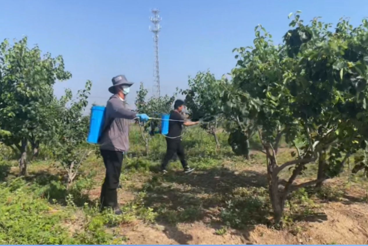 6.6倉(cāng)儲(chǔ)